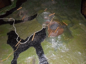 costa rica 2012 123