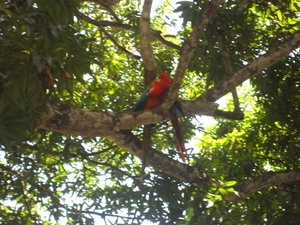 costa rica 2012 174