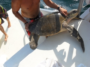 costa rica 2012 177