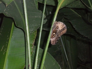 costa rica 2012 188