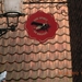 DSCN0190