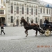 DSCN0321
