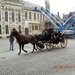 DSCN0324