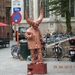 DSCN0350