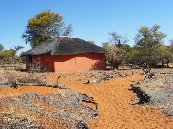 2. Ons eerste lodgekamp Intu Afrika Camelthorn lodge in de Kalaha