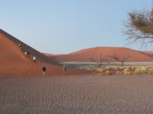 15. Sossusvlei in te Namib desert met duinen soms hoger dan 300 m