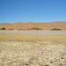 27. Nog in Sossusvlei een bijna uitgedroogd meertje met watervoge