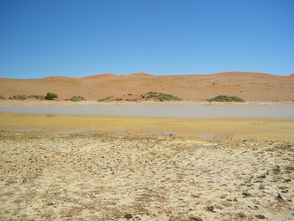 27. Nog in Sossusvlei een bijna uitgedroogd meertje met watervoge