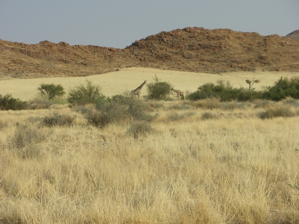 1. Rit door Namib Naukluft park op weg naar Swakopmund