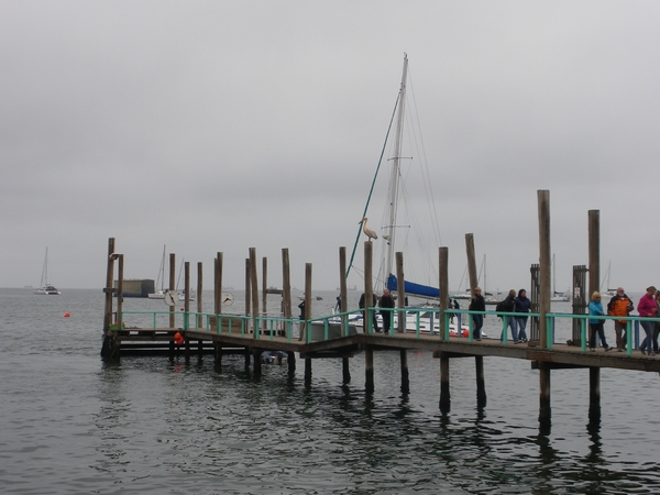 1. Boottocht met catamaran in Walvisbaai