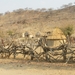 10. Kraal met hutjes van de Himba's (2)