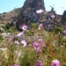 2012_09_18 Cappadocie 070