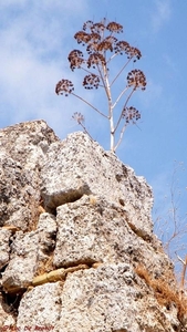 2012_09_21 Cappadocie 044