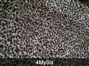 4MySis