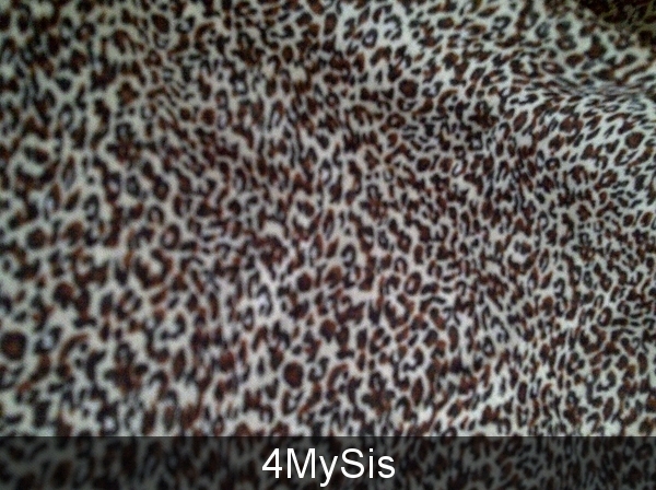 4MySis
