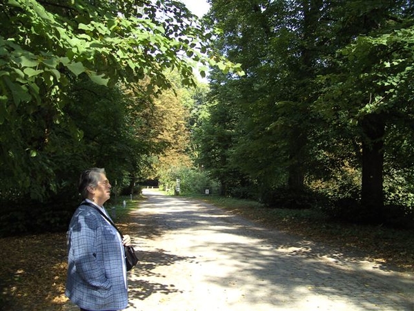 tinne vol bewondering