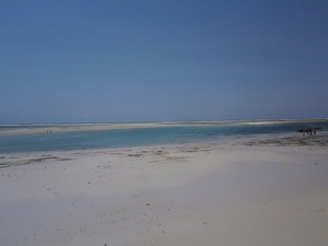 zanzibar 001