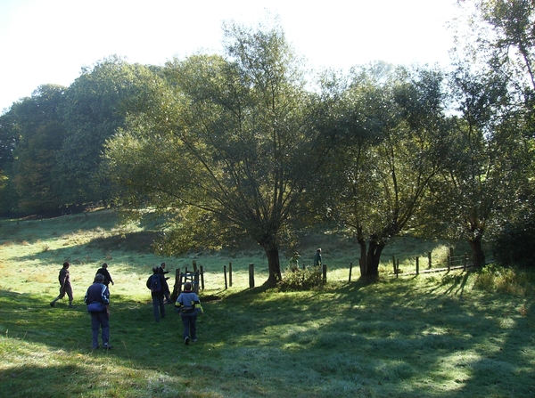 Kruishoutem Oktober 2012 015