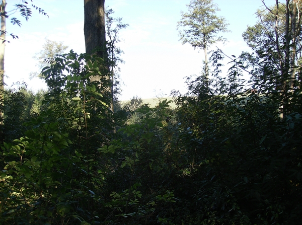 Kruishoutem Oktober 2012 017