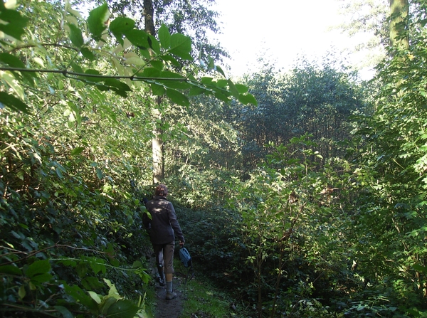 Kruishoutem Oktober 2012 018