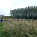 2012-10-08 Massemen 053
