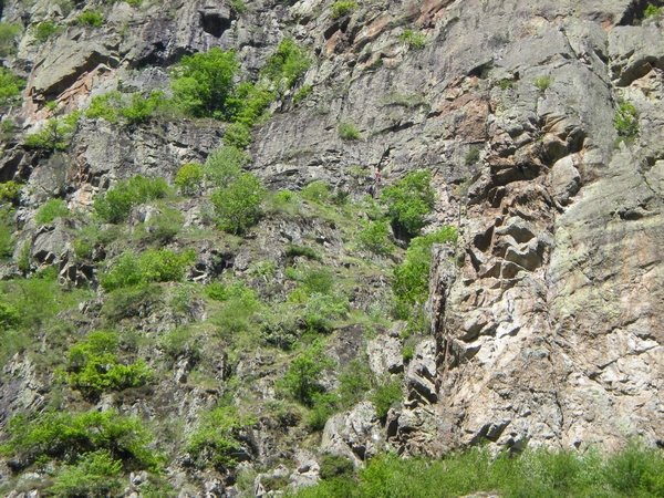 Kopie (10) van DSCN1396