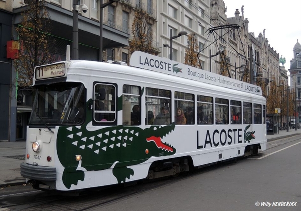 7047 'LACOSTE' KONINGIN ASTRIDPLEIN 20131204_1