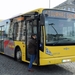 459129 TOURNAI   20141125 (5)