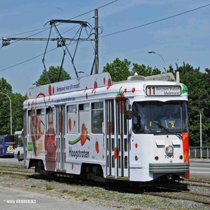 7049 lijn 11 'HOOGSTRATEN'  BORSBEEKSEBRUG 20150611