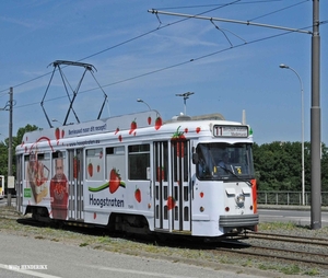 7049 lijn 11 'HOOGSTRATEN'  BORSBEEKSEBRUG 20150611_2