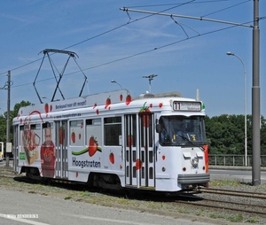 7049 lijn 11 'HOOGSTRATEN'  BORSBEEKSEBRUG 20150611_2