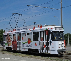 7049 lijn 11 'HOOGSTRATEN'  BORSBEEKSEBRUG 20150611_3