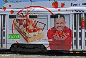 7049 lijn 11 'HOOGSTRATEN'  BORSBEEKSEBRUG 20150611_4