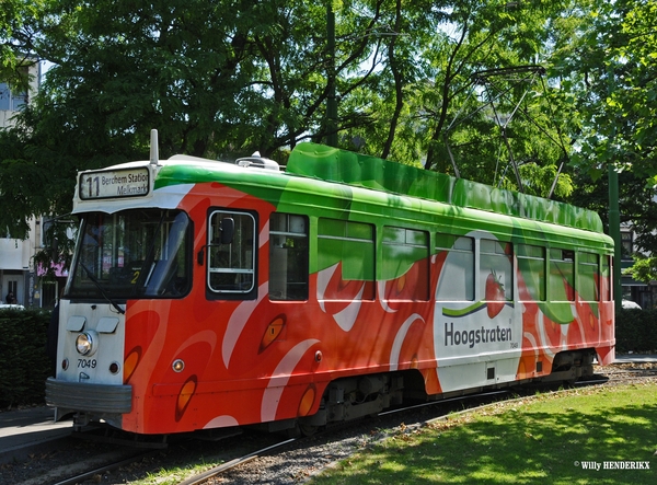 7049 lijn 11 'HOOGSTRATEN' EINDLUS BORSBEEKSEBRUG 20150611