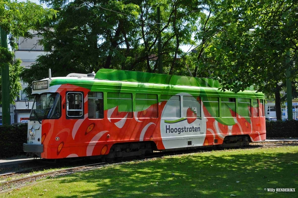 7049 lijn 11 'HOOGSTRATEN' EINDLUS BORSBEEKSEBRUG 20150611_2