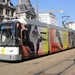 7203 lijn4 'CAUSE CHAOS ADIDAS CONTROL EVERYTHING BETHEDIFFERENCE