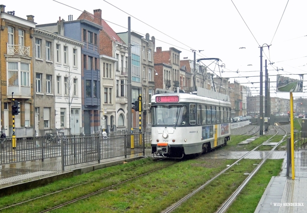 7120 lijn8 Halte MUGGENBERG 20160222 13u43