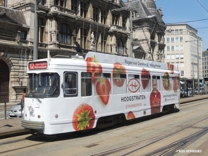 7060 lijn12 'HOOGSTRATEN AARDBEIEN' Halte NATIONALE BANK 20160609