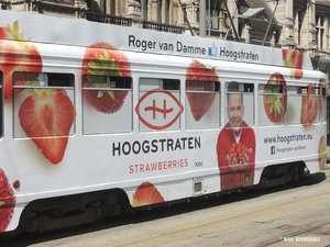 7060 lijn12 'HOOGSTRATEN AARDBEIEN' Halte NATIONALE BANK 20160609