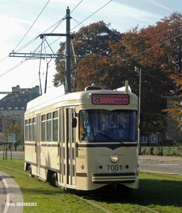 7001 lijn 8  RUGGEVELDLAAN 20151026