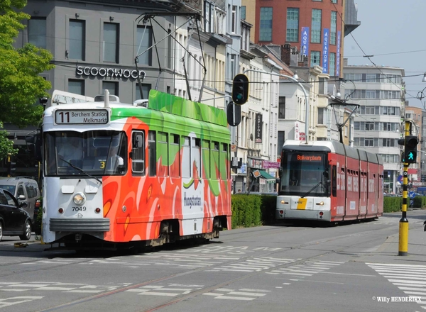 7049 lijn 11 'HOOGSTRATEN' & 7207 'ER ZIT EEN REUS IN JE KRANT' F