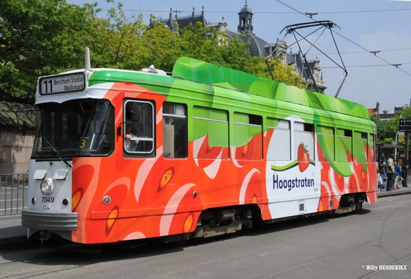 7049 lijn 11 'HOOGSTRATEN' FRANKLIN ROOSEVELTPLAATS 20150614 (1)