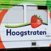 7049 lijn 11 'HOOGSTRATEN' FRANKLIN ROOSEVELTPLAATS 20150614 (2)