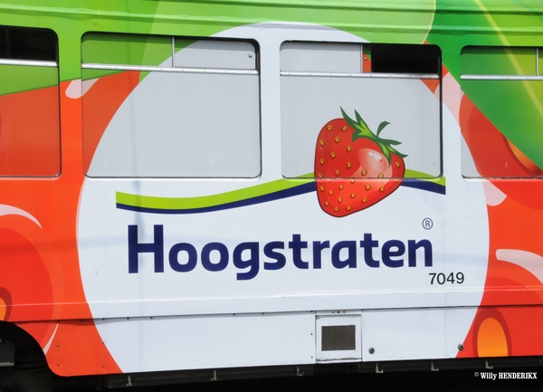 7049 lijn 11 'HOOGSTRATEN' FRANKLIN ROOSEVELTPLAATS 20150614 (2)