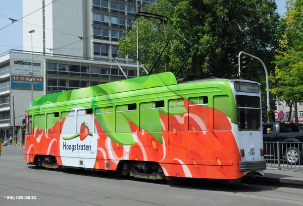 7049 lijn 11 'HOOGSTRATEN' FRANKLIN ROOSEVELTPLAATS 20150614 (3)