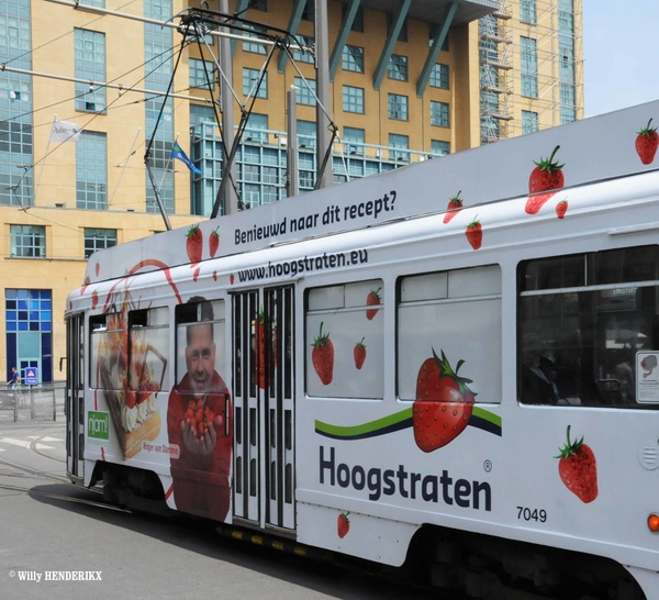 7049 lijn 11 'HOOGSTRATEN' KONINGIN ASTRIDPLEIN 20150614 (3)