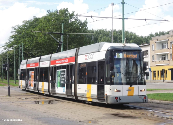 7237 lijn 15 halte 'HALEWIJN' 20150901