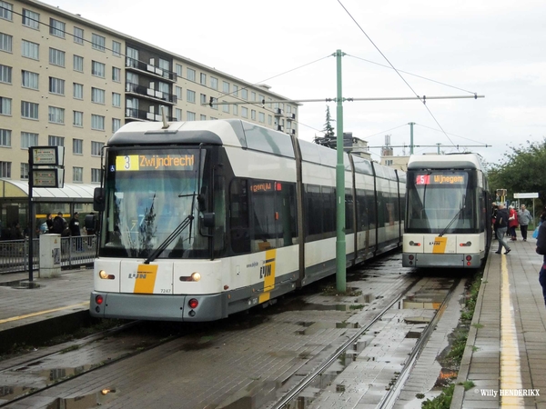 7247 lijn 3 & 7224 lijn 5 halte 'HALEWIJN' 20150901