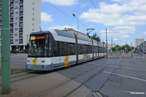 7252 lijn 3 halte HALEWIJN 20150613