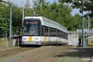 7272 lijn 5 halte HALEWIJN 20150613